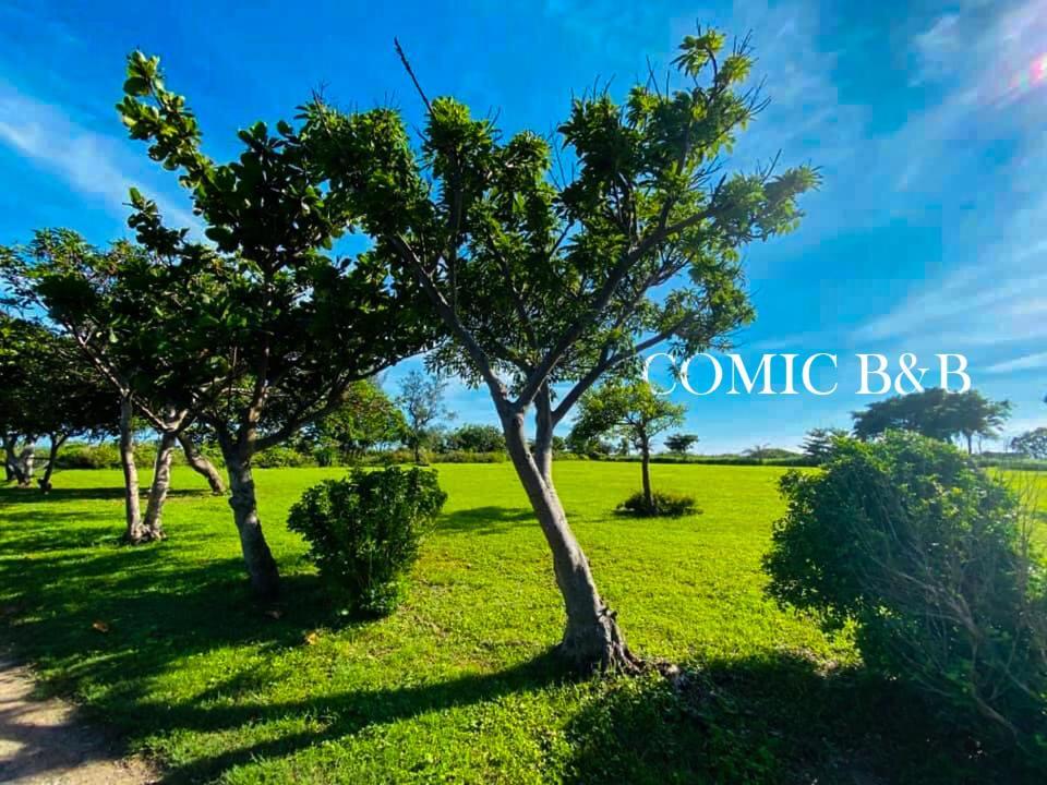 Kenting Comic B&B&Spring Hengchun Exterior photo